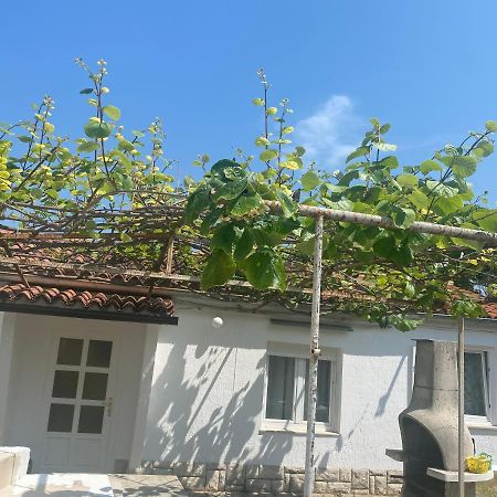 דירות פורץ Apartman Nela מראה חיצוני תמונה